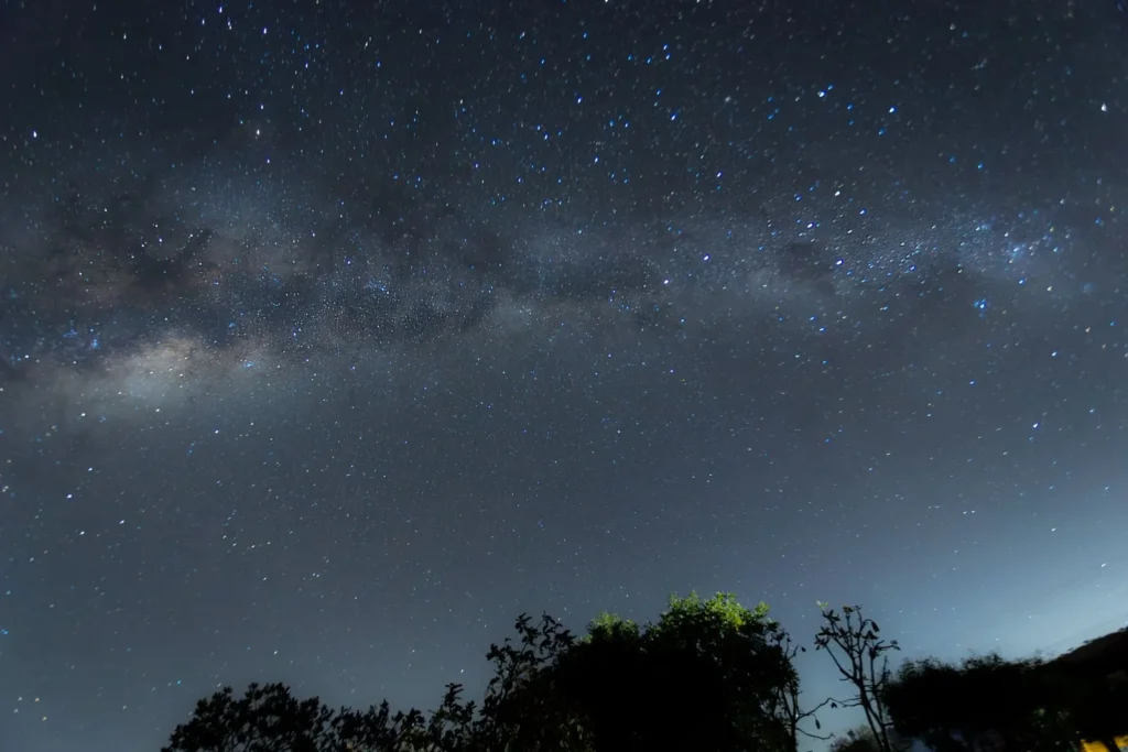 The Milky Way stretching across a starry night sky above dark trees